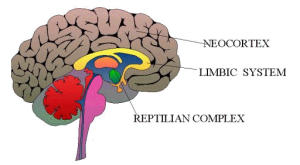 reptilian-brain